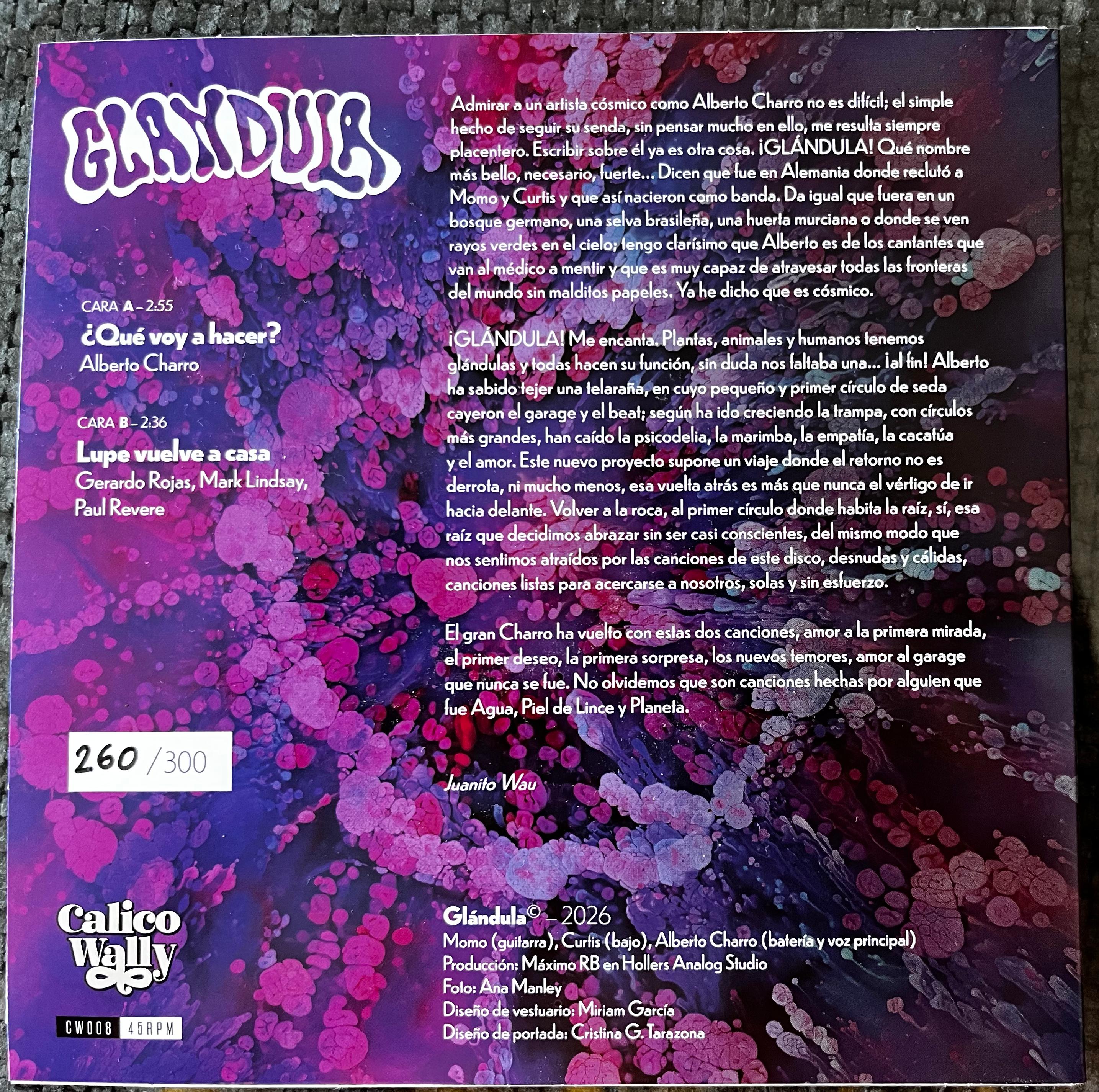 Glándula - ¿Que Voy A Hacer? 7"