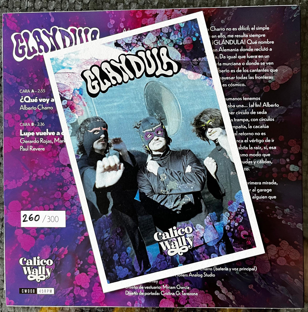 Glándula - ¿Que Voy A Hacer? 7"
