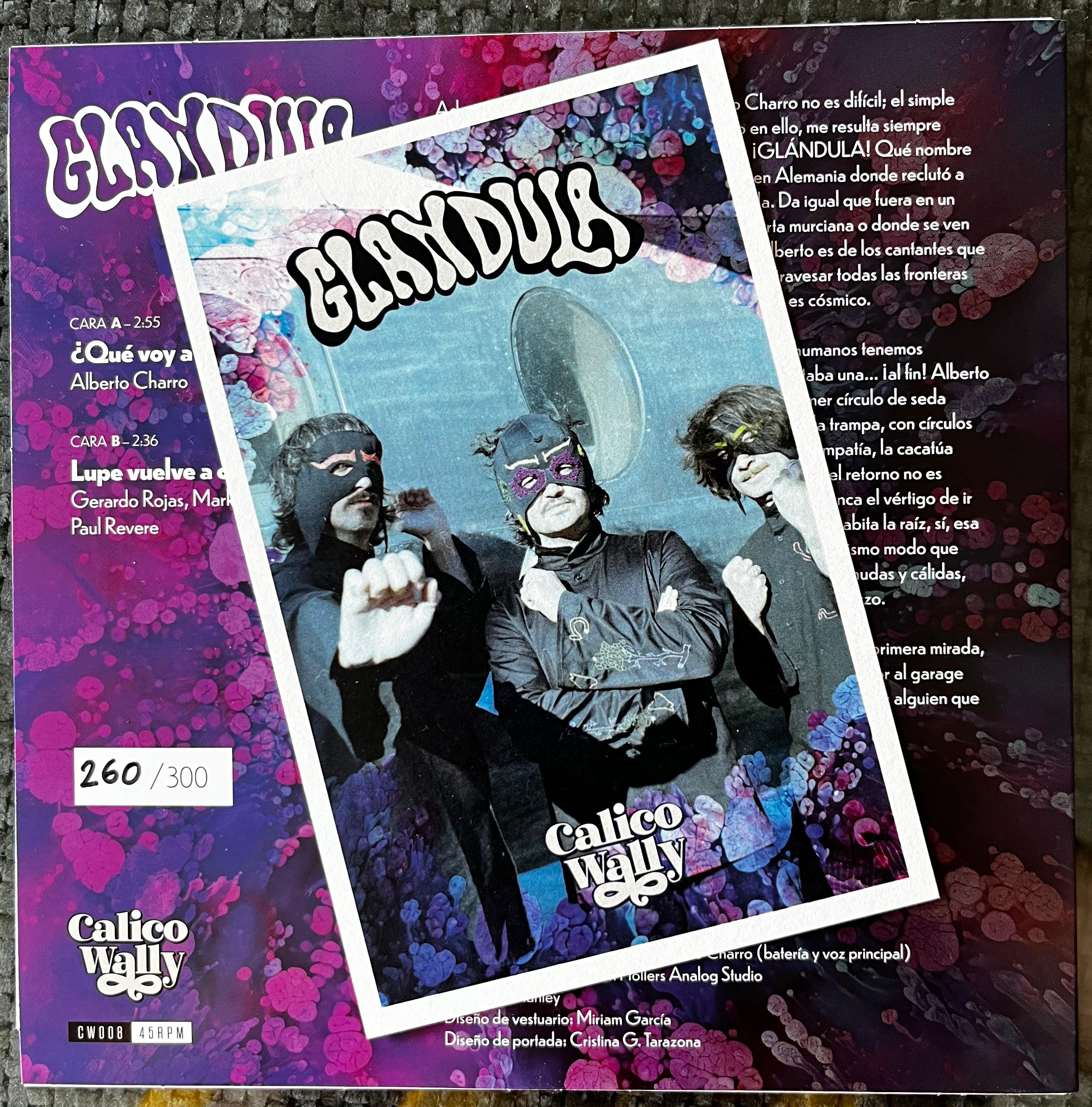 Glándula - ¿Que Voy A Hacer? 7"