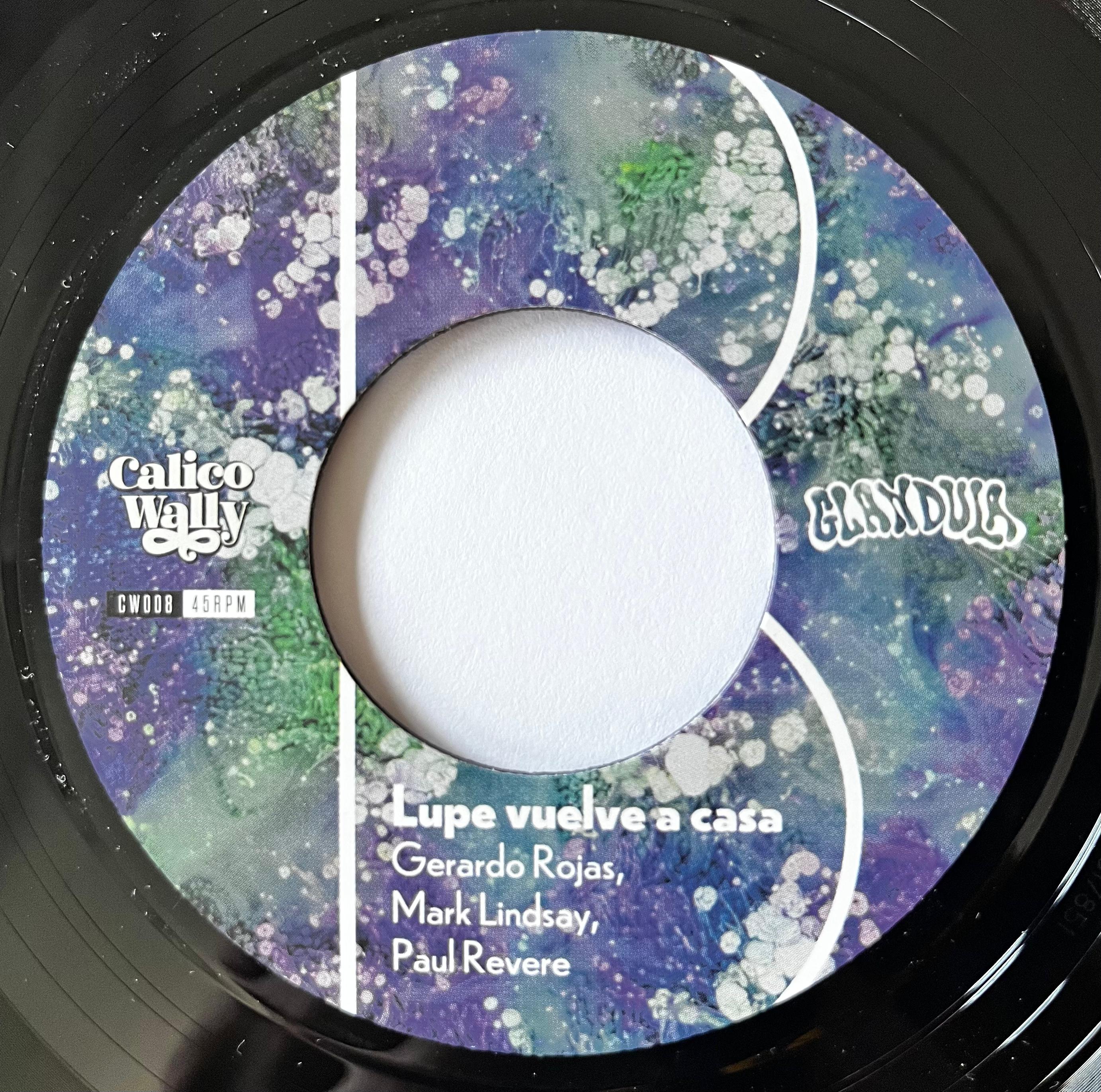 Glándula - ¿Que Voy A Hacer? 7"